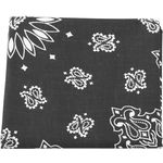 Bandana Paisley