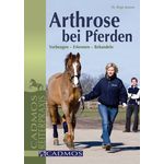 Arthrose bei Pferden