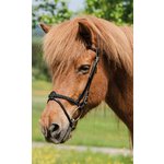 Isl&auml;nder Trense Tinna