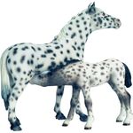 Knabstrupper Stute, Schleich