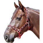 Stallhalfter 'Nikolaus'