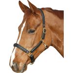 Stallhalfter aus Lemico, von dt saddlery