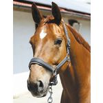 PP-Webhalfter 'Michigan', Horse-Friends