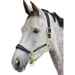 PP-Halfter, Cheval d. L.