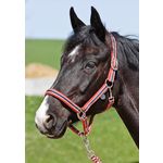 PP-Halfter-Set inkl. Anbindestrick, Black-Forest Exquisite