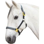 PP-Halfter 'Citronella', Horse-Friends