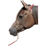 Loesdaus Araber-Show-Halfter.