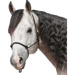 US-Style Western-Knotenhalfter