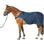 Bewegungs- und F&uuml;hrmaschinendecke, Horse-Friends