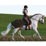 Horseware Amigo Ausreitdecke 'Competition Sheet'