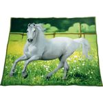 Fleece-Decke 'Schimmel'