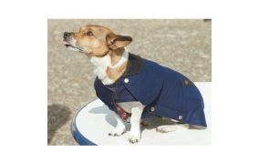 Hundebedarf