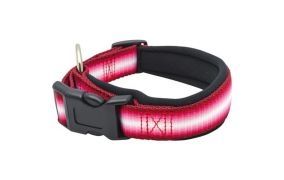 Hundehalsband, Hundegeschirr & Hundeleine