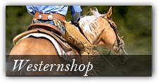 Themenshop Western
