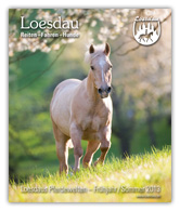 Reitsport Katalog