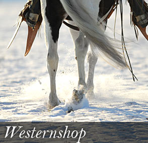 Themenshop Western