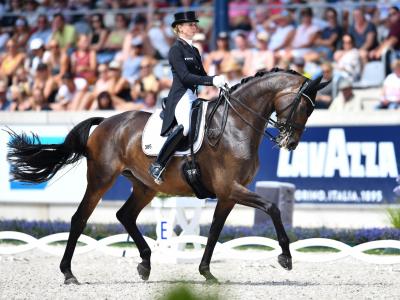 Bredow-Werndl