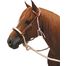 Bosal-Set 'Western-Profi' (f&uuml;r Ponys)