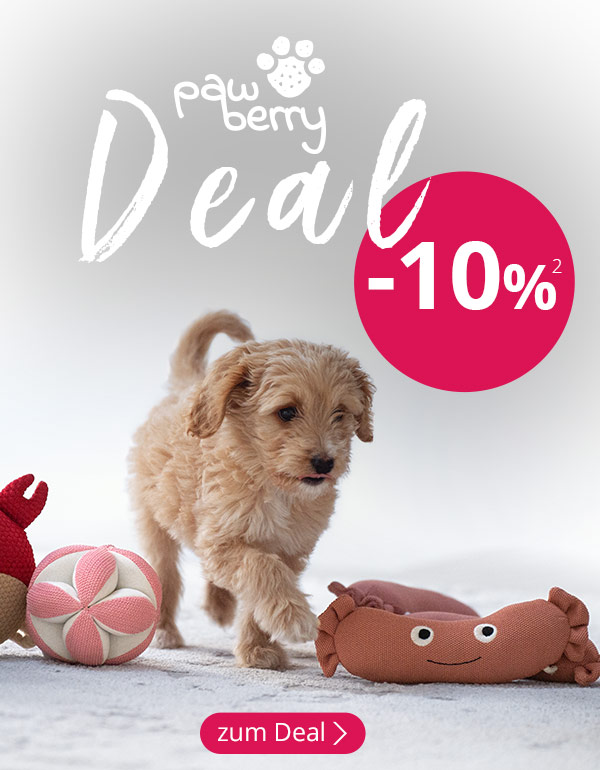 Ein Hund mit Hundespielzeug. Das Bild trägt die Aufschrift "pawberry Deal: -10%²"