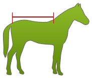 Pferdedecke messen
